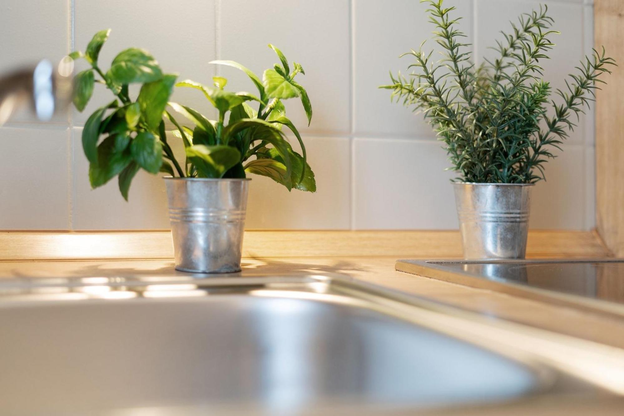 Mittelweg 6 Wohnung 4 グレーミッツ エクステリア 写真